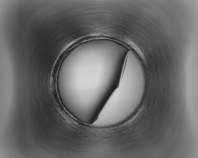 X0000116610876200912181204