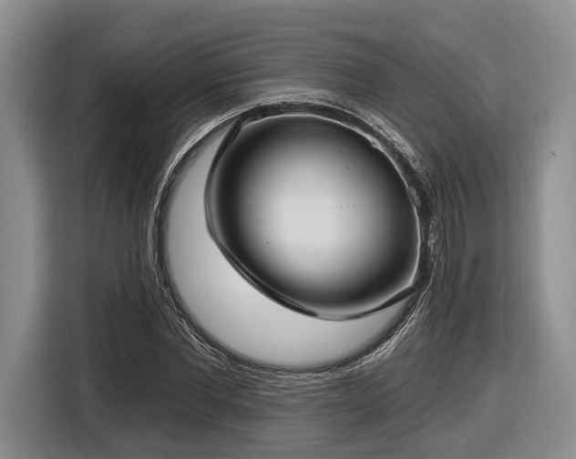 X0000116610877200912181204