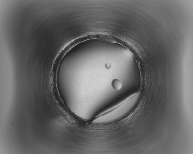 X0000116610878200912181204