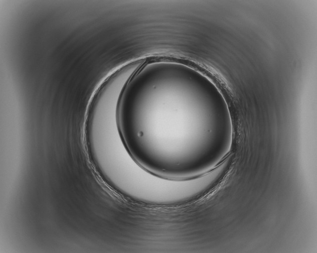 X0000116610880200912181204