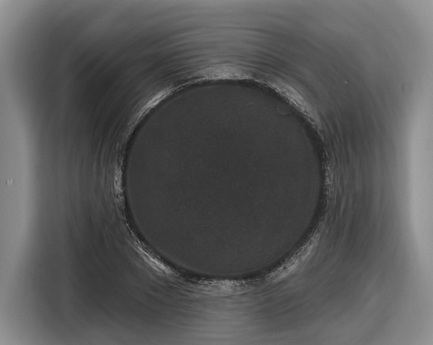 X0000116610881200912181204