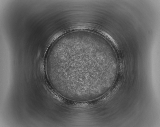 X0000116610882200912181204