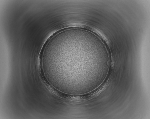 X0000116610883200912181204