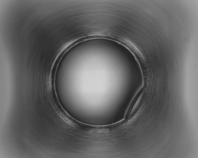 X0000116610884200912181204