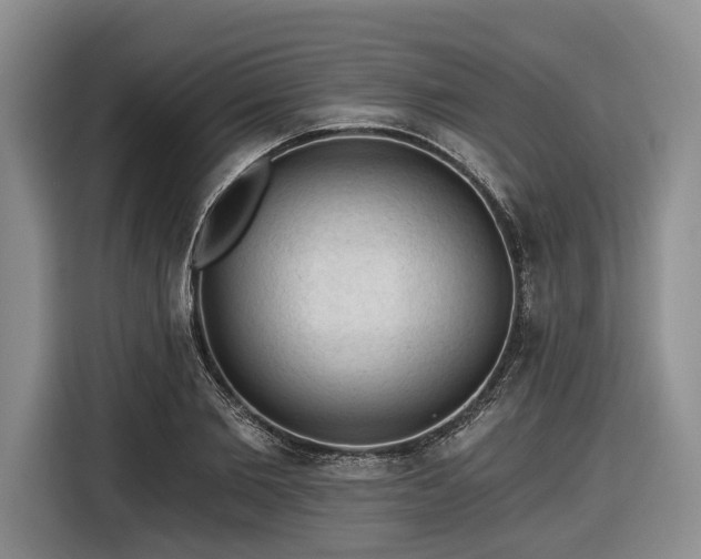 X0000116610885200912181204