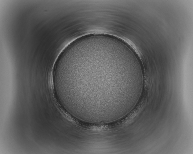 X0000116610887200912181204