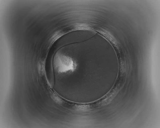 X0000116610889200912181204