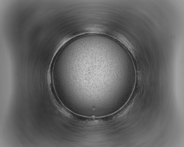 X0000116610891200912181204