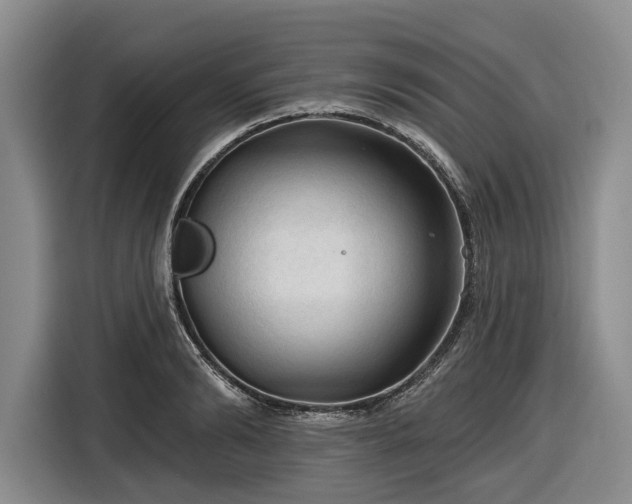 X0000116610894200912181204