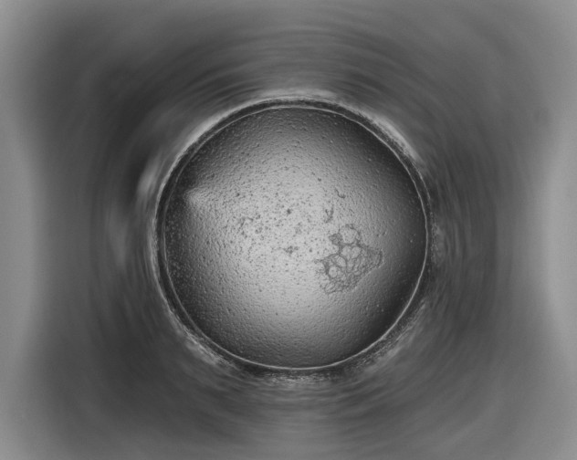 X0000116610895200912181204