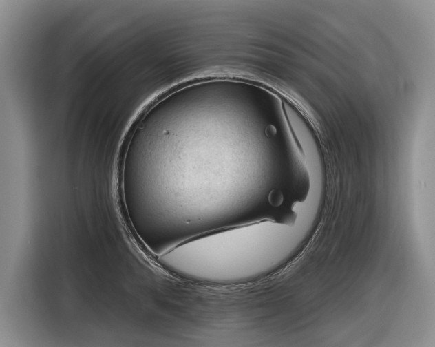 X0000116610896200912181204