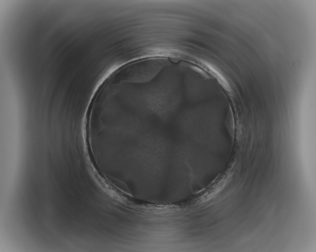 X0000116610899200912181204