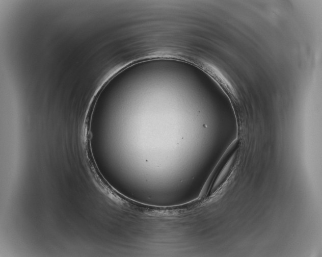 X0000116610900200912181204