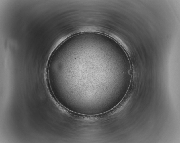 X0000116610901200912181204