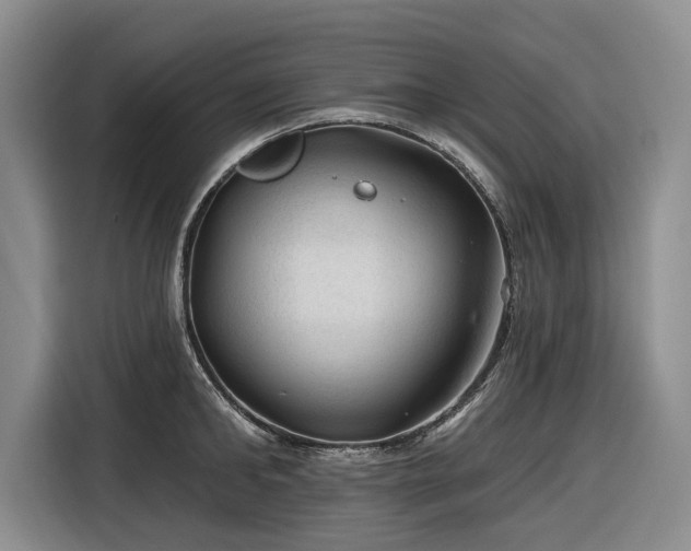 X0000116610902200912181204