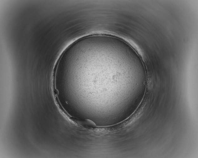 X0000116610903200912181204