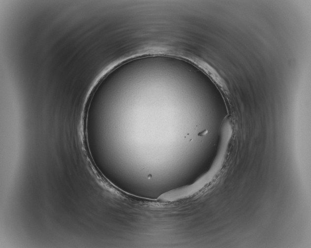 X0000116610904200912181204