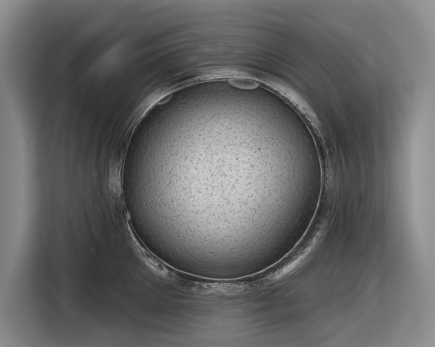 X0000116610905200912181204