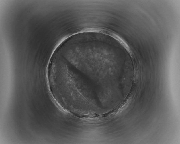 X0000116610907200912181204