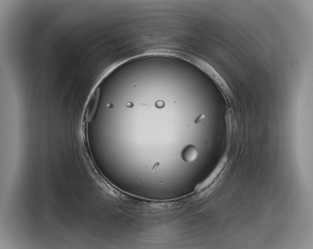 X0000116610908200912181204