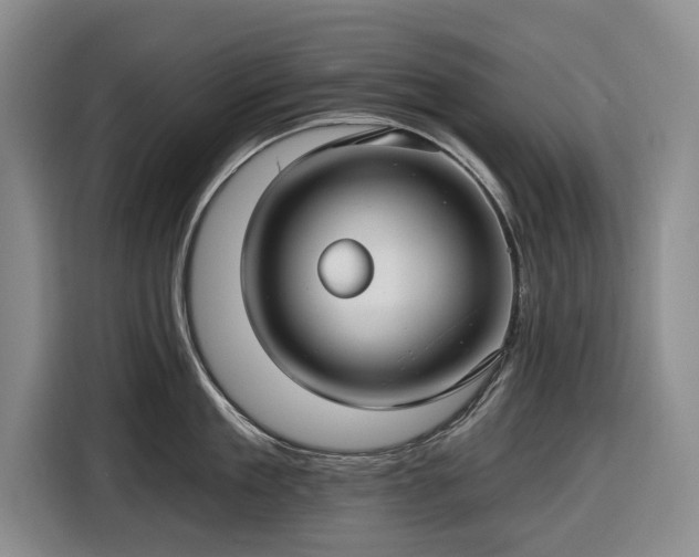 X0000116610909200912181204