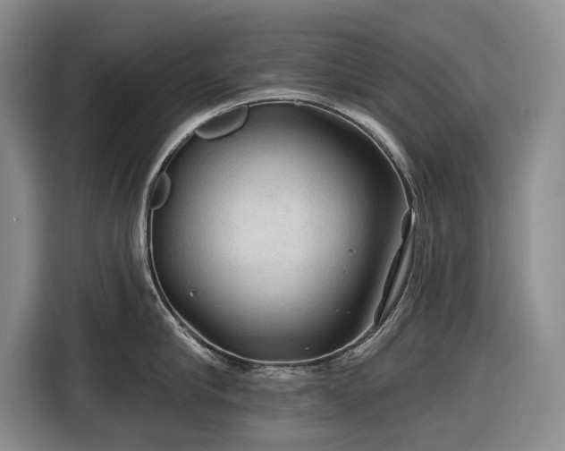 X0000116610910200912181204