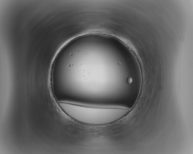 X0000116610912200912181204