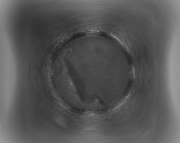 X0000116610913200912181203