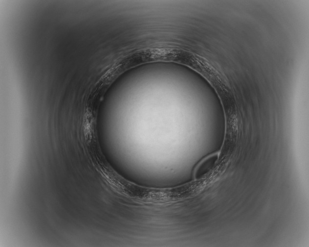 X0000116610914200912181203