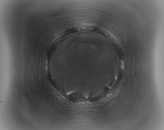 X0000116610915200912181203