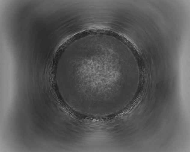 X0000116610919200912181203