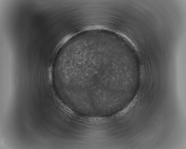 X0000116610921200912181203