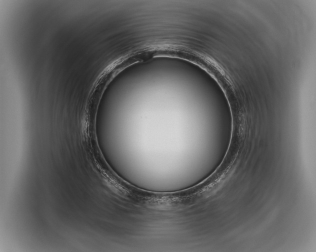 X0000116610922200912181203