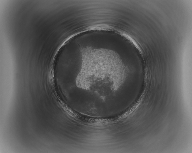 X0000116610923200912181203