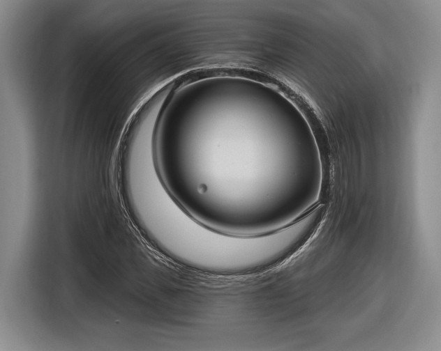 X0000116610925200912181203