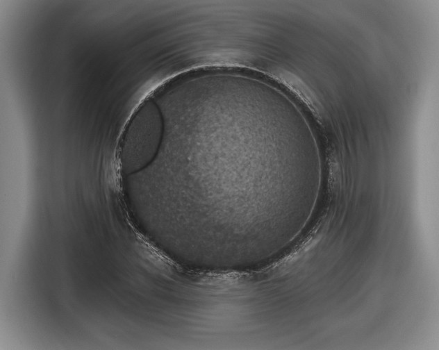 X0000116610926200912181203