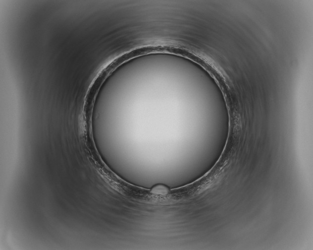 X0000116610927200912181203