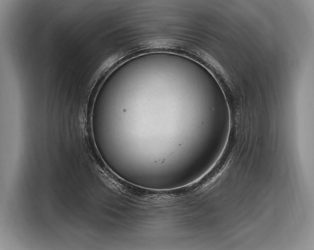 X0000116610930200912181203