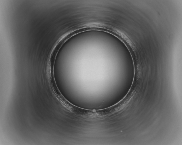 X0000116610931200912181203