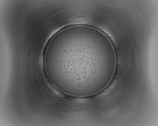 X0000116610933200912181203