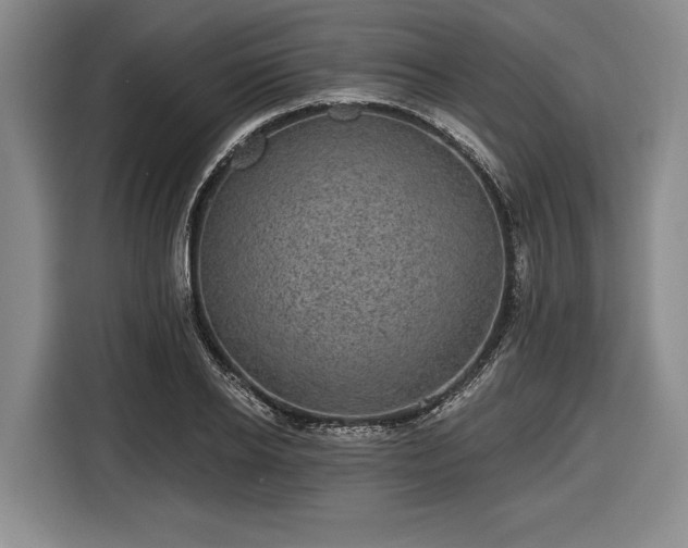 X0000116610934200912181203