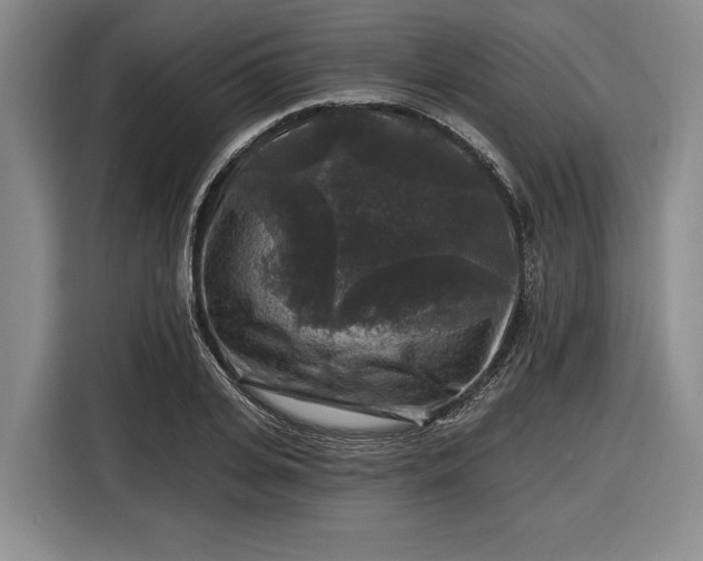 X0000116610935200912181203