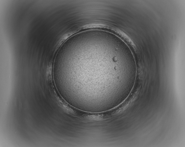 X0000116610937200912181203