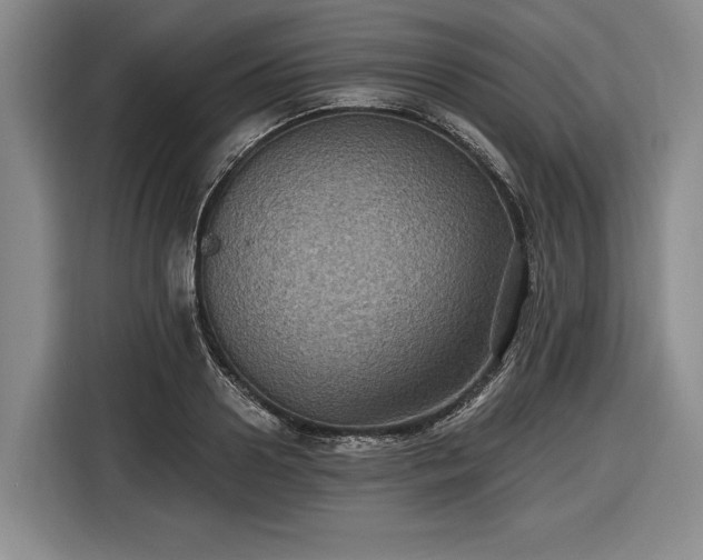 X0000116610938200912181203