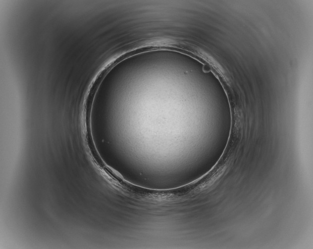 X0000116610939200912181203