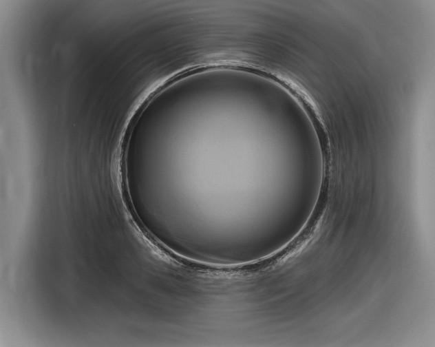 X0000116610941200912181203