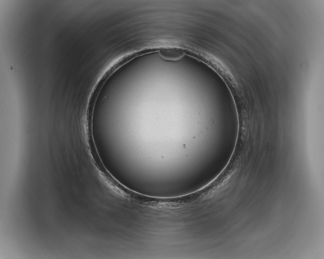 X0000116610942200912181203