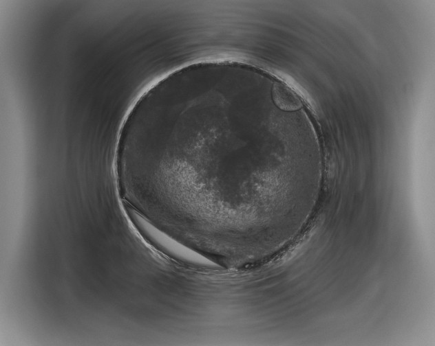 X0000116610943200912181203