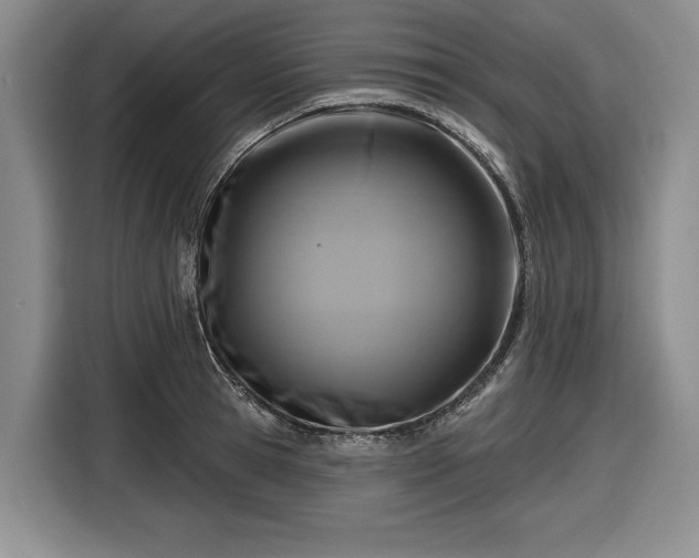 X0000116610945200912181203