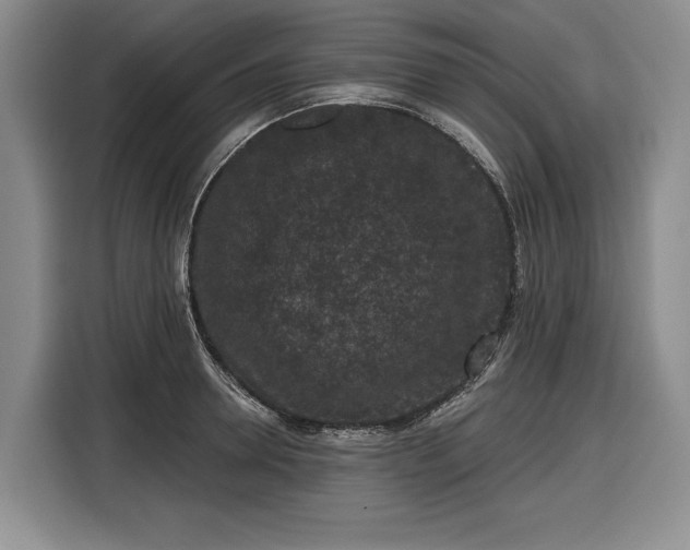 X0000116610946200912181203